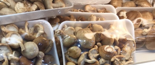 Honshemeji and Maitake Mushrooms in Philly?  Spring Garden Market